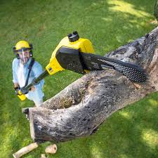 Best Tree Mulching  in Mcswain, CA